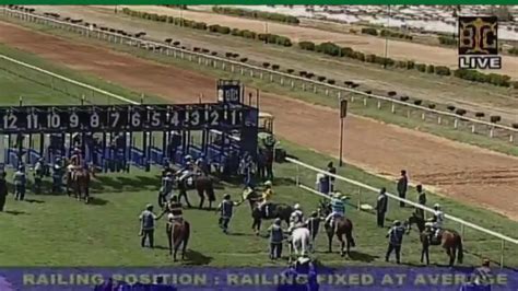 bangaloreraces|Video .